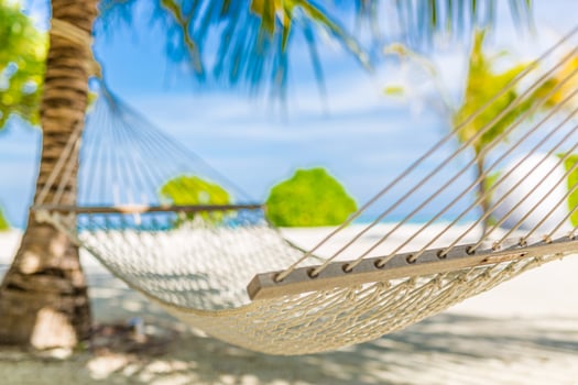 Tropical hammock in paradise at sunset, closeup recreational summer background. Relaxation, carefree beach scene, palm leaves, sunset light. Tranquil beautiful couple leisure tropical lifestyle photo