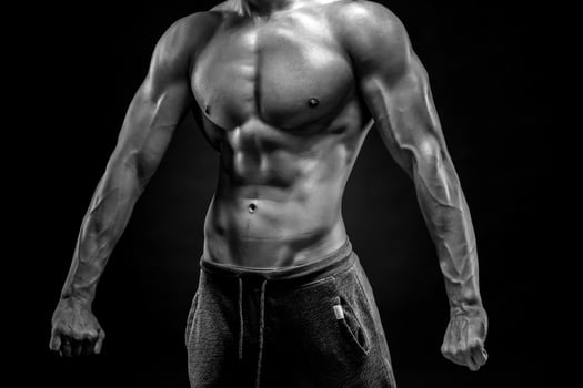 Close-up of man model torso posing showing perfect body photo