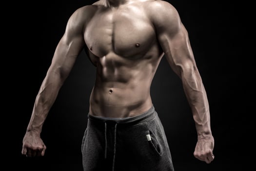 Close-up of man model torso posing showing perfect body photo
