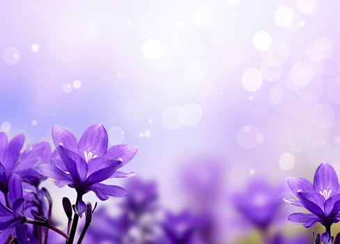 AI generated Abstract purple flowers spring background photo