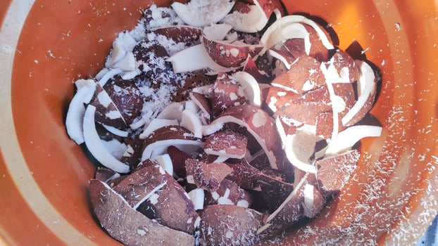 pile of old, peeled coconuts that will be grated photo