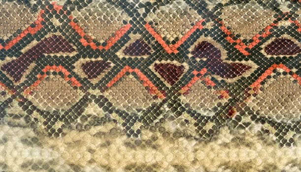 Snake skin leather textured reptile print. Pyton animal leather background. photo