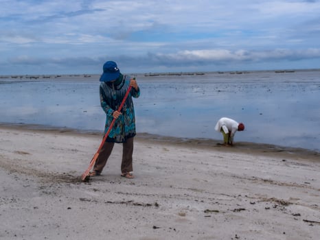 someone who is carrying out rubbish cleaning activities around the beach, green earth, coastal cleanup day photo
