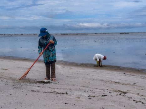 someone who is carrying out rubbish cleaning activities around the beach, green earth, coastal cleanup day photo