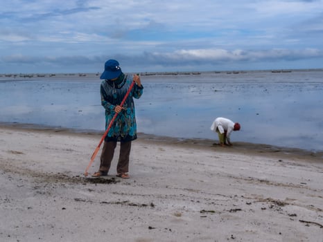 someone who is carrying out rubbish cleaning activities around the beach, green earth, coastal cleanup day photo