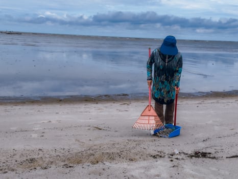 someone who is carrying out rubbish cleaning activities around the beach, green earth, coastal cleanup day photo