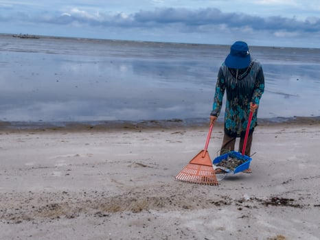 someone who is carrying out rubbish cleaning activities around the beach, green earth, coastal cleanup day photo