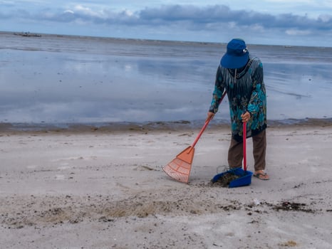 someone who is carrying out rubbish cleaning activities around the beach, green earth, coastal cleanup day photo