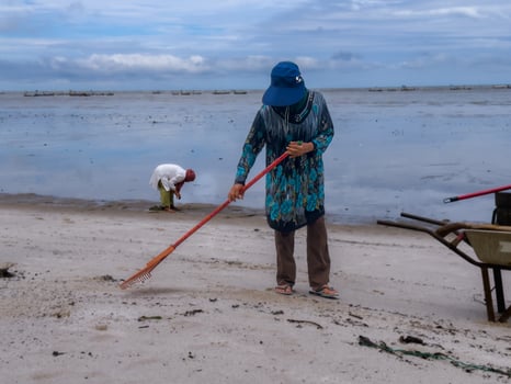 someone who is carrying out rubbish cleaning activities around the beach, green earth, coastal cleanup day photo