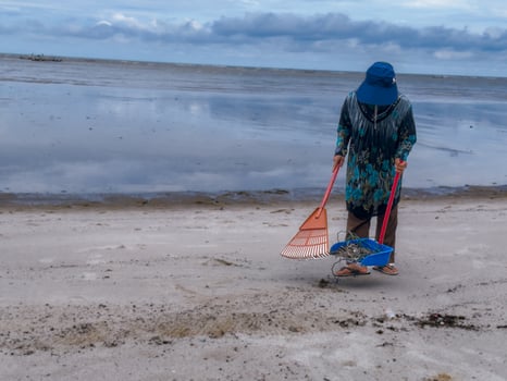 someone who is carrying out rubbish cleaning activities around the beach, green earth, coastal cleanup day photo