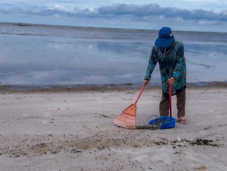 someone who is carrying out rubbish cleaning activities around the beach, green earth, coastal cleanup day photo