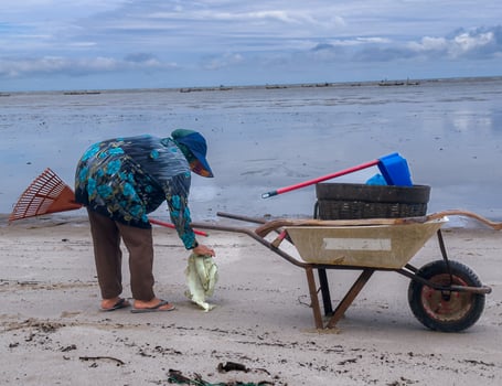 someone who is carrying out rubbish cleaning activities around the beach, green earth, coastal cleanup day photo