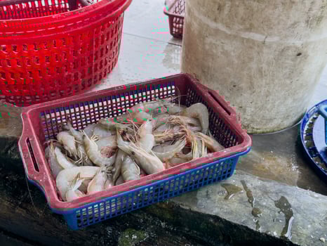 Shrimp in a plastic basket at a sales market photo
