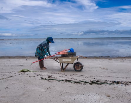 someone who is carrying out rubbish cleaning activities around the beach, green earth, coastal cleanup day photo
