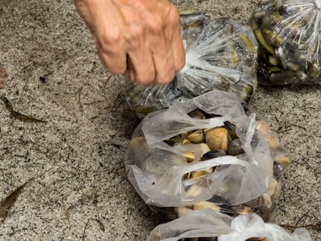 someone's groceries lying on the sand, which contains fresh ingredients from the sea photo