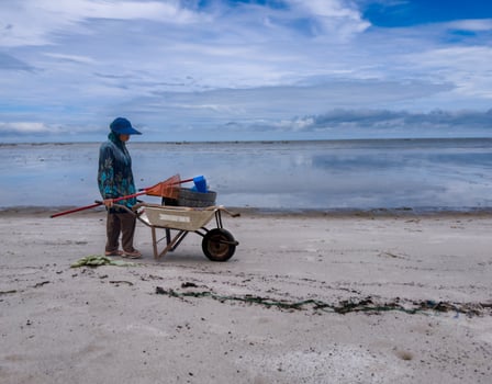 someone who is carrying out rubbish cleaning activities around the beach, green earth, coastal cleanup day photo