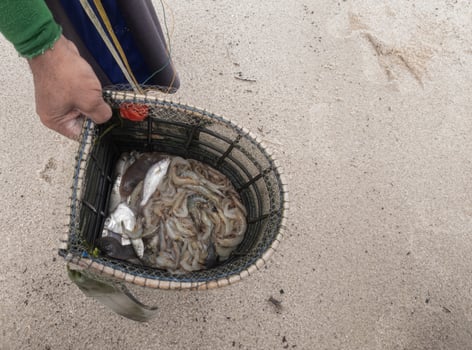 someone who sells seafood such as fish, shrimp and squid in a bamboo basket photo