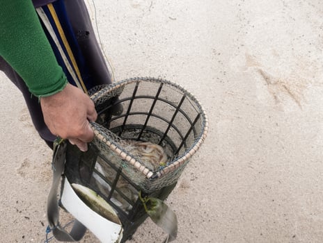 someone who sells seafood such as fish, shrimp and squid in a bamboo basket photo