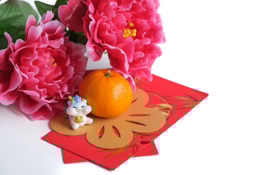 Chinese New Year of the dragon festival concept. Orange, red envelopes, two dragons and gold ingot decorated with plum blossom on white background. copy space for text. photo