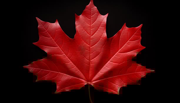 AI generated Canada leaf text flyer photo