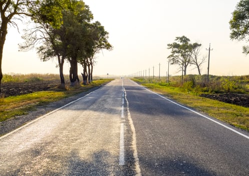 Asphalt road among trees and fields. Russian roads. photo