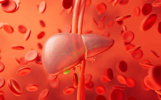 Liver organ with health care concept, 3d rendering. photo