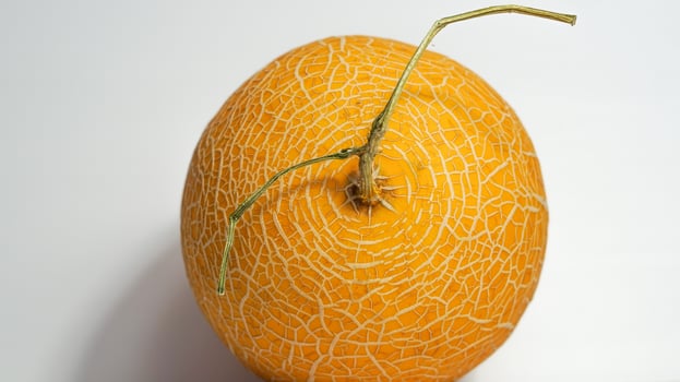 Sweet yellow melon fruit with a round texture photo