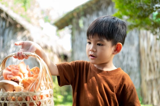 Little Asian boy holding a basket of mushrooms with mushrooms in the basket photo