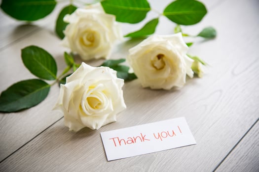 background of many white roses on a light wooden photo