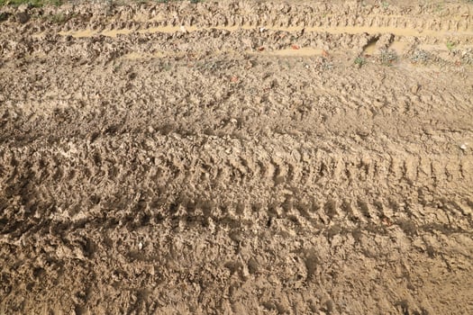 Wheel track on mud. Traces of a tractor or heavy off-road car on brown mud in wet meadow photo