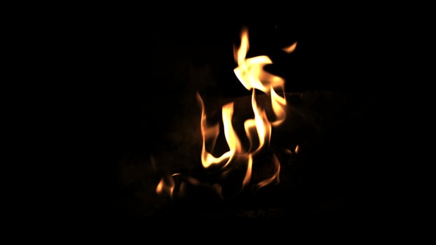 Burning wood in the fire. Camp fire in the night. Fire flames. Forest fire close up photo