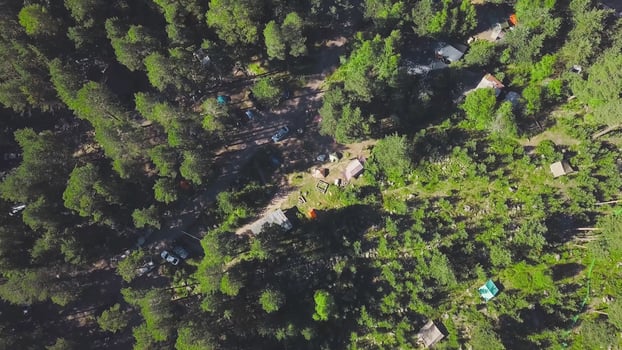 Top view of camping town in green forest. Clip. Small settlement of tourists with tents in dense green forest. Travelers during pandemic prefer to live in forest in tents photo