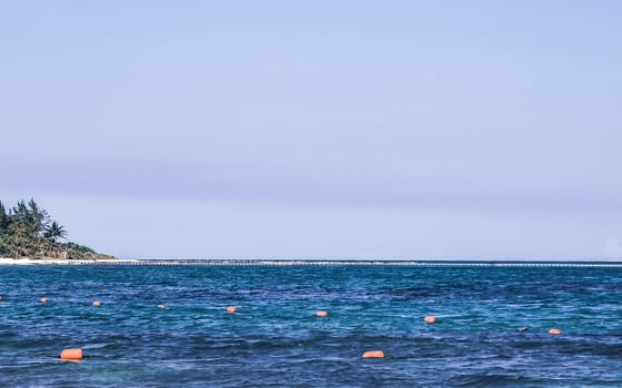 Tropical Caribbean beach clear turquoise water Playa del Carmen Mexico. photo