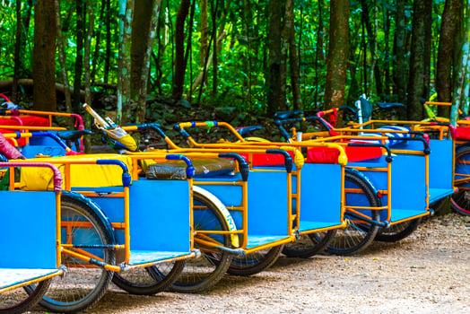 Rent a bike tricycle ride through the jungle Coba Ruins. photo