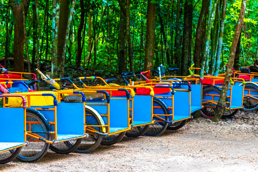 Rent a bike tricycle ride through the jungle Coba Ruins. photo