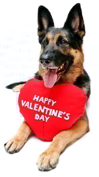 valentine romance of love in the world - 8 photo
