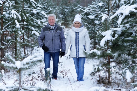 Happy senior couple at snowy winter park photo