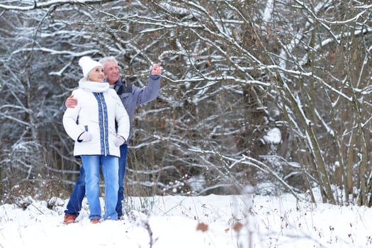 Happy senior couple at snowy winter park photo