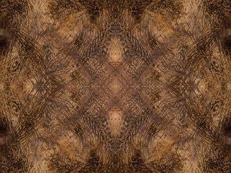 Brown wood background. photo