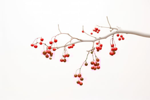 AI generated chinese new year decorations hanging from branches, photo