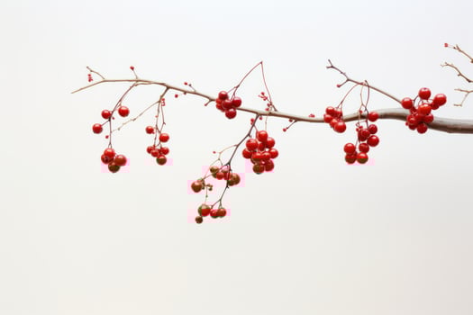 AI generated chinese new year decorations hanging from branches, photo