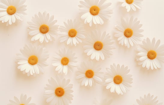 AI generated daisies, roses and daisies on white, photo