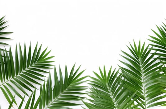 AI generated palm leaves on white background. photo