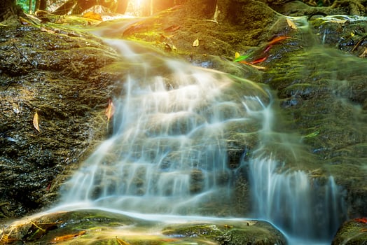 Small waterfall in the forest. photo