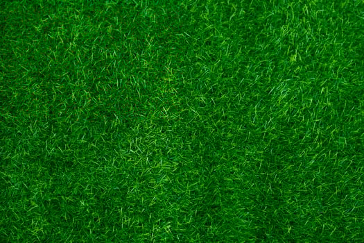 Green grass texture background grass garden concept used for making green background football pitch, Grass Golf, green lawn pattern textured background...... photo