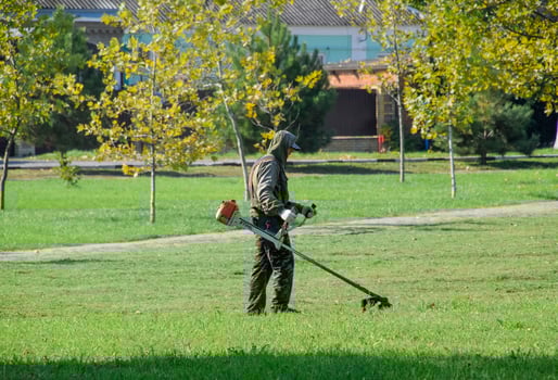 worker mowing grass with a gasoline brush. Trimmer. photo