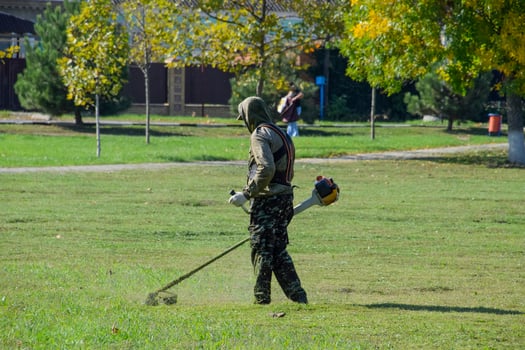 worker mowing grass with a gasoline brush. Trimmer. photo