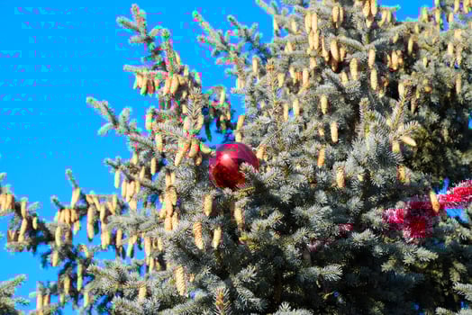 Decorations New Year tree. Tinsel and toys, balls and other decorations on the Christmas Christmas tree standing in the open air. photo
