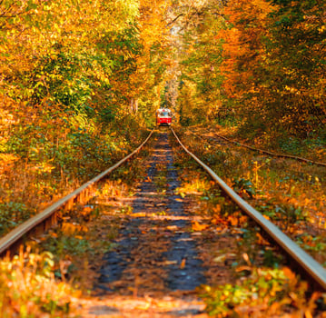 Autumn forest through which an old tram rides Ukraine photo