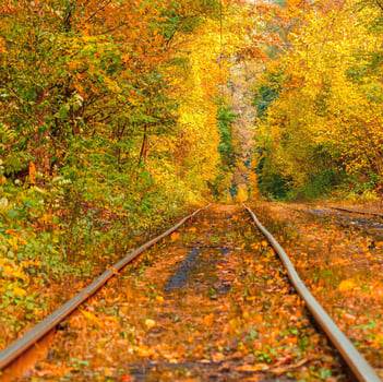 Autumn forest through which an old tram rides Ukraine photo